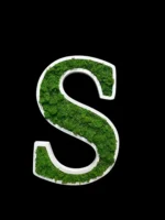 Drevené logo s machom