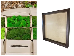 Category Products - DIY Mach
