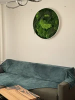 Obraz z pravého machu: Kruhový s machom a papradím