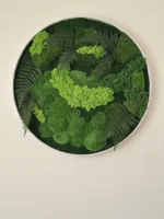 Obraz z pravého machu: Kruhový s machom a papradím