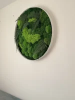 Obraz z pravého machu: Kruhový s machom a papradím