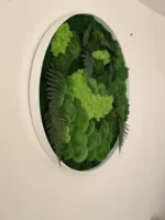 Obraz z pravého machu: Kruhový s machom a papradím