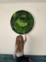 Obraz z pravého machu: Kruhový s machom a papradím