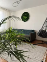 Obraz z pravého machu: Kruhový s machom a papradím