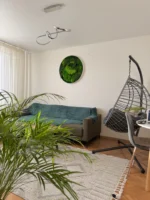 Obraz z pravého machu: Kruhový s machom a papradím