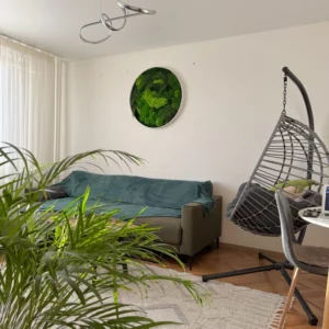 Obraz z pravého machu: Kruhový s machom a papradím