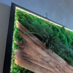 Nástenný obraz s machom, drevenými akcentmi a rastlinami – Moderný LED obraz na stenu