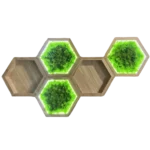 Sada machových obrazov: Machový hexagón a drevená nástenná polica s osvetlením