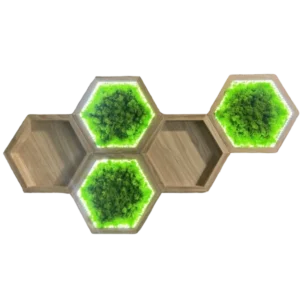 Sada machových obrazov: Machový hexagón a drevená nástenná polica s osvetlením