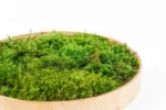Sada na výrobu kruhového machového obrazu – Provence mach