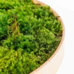 Sada na výrobu kruhového machového obrazu – Provence mach