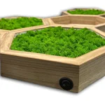 Sada machových obrazov: Machový hexagón a drevená nástenná polica s osvetlením