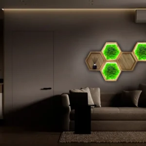 Sada machových obrazov: Machový hexagón a drevená nástenná polica s osvetlením