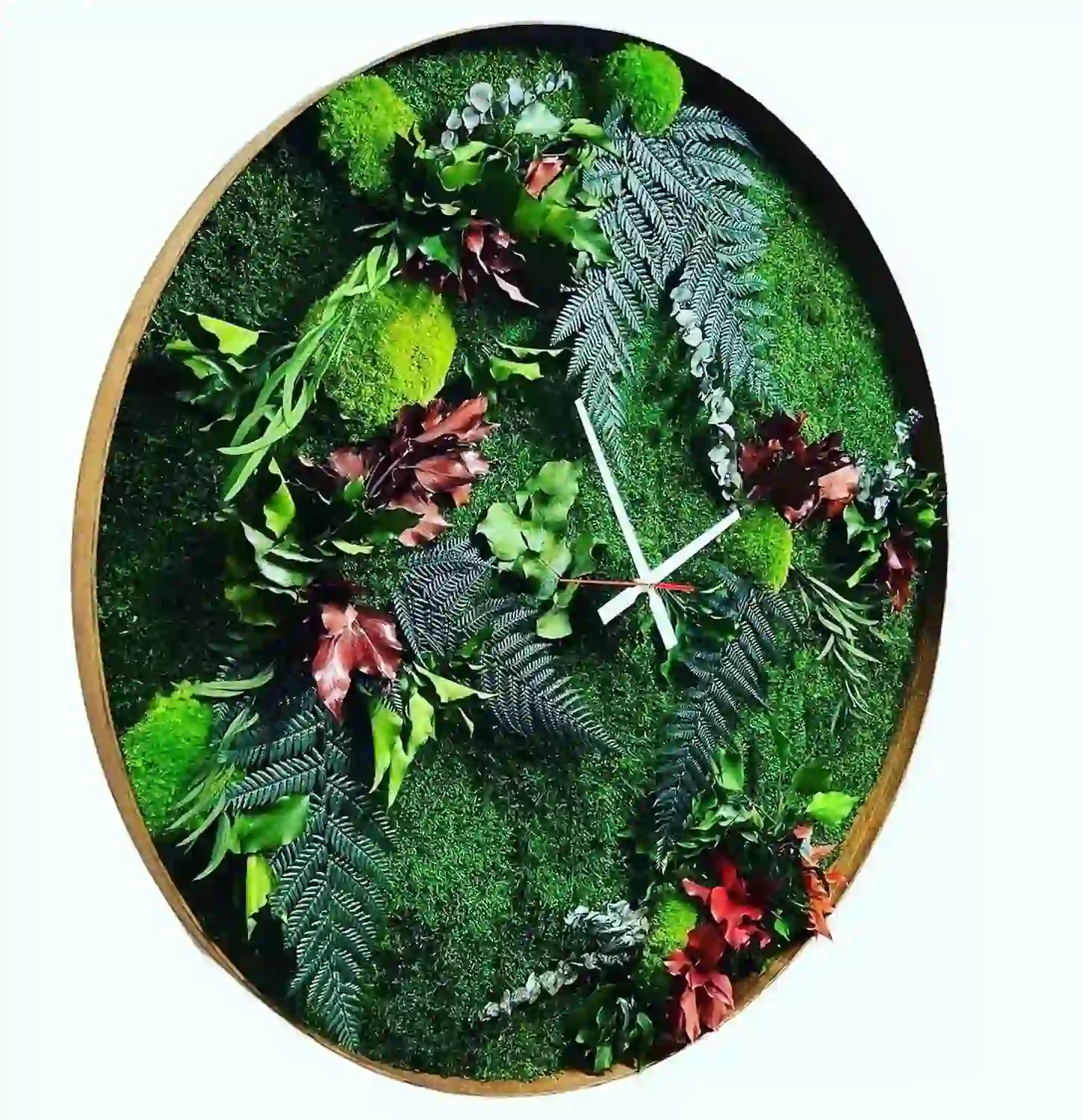 Wand Uhr mit Moos und Pflanzen – Dschungel Wand Uhr mit Moos und Pflanzen - Dschungel