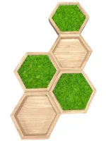 Sada machových obrazov: Machový hexagón a drevená nástenná polica s osvetlením