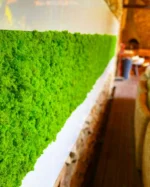 Machové panely s lišajníkom