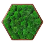 Hexagon Machový Obraz s Guľatým machem