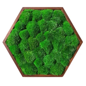 Hexagon Machový Obraz s Guľatým machem