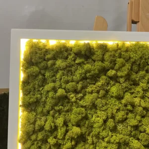 Machový obraz s sobí machom a LED osvetlením