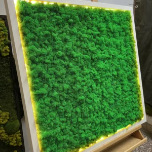 Machový obraz s sobí machom a LED osvetlením