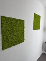 Machové panely s lišajníkom