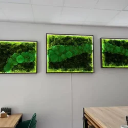 Set machových obrazov s osvetlením