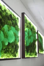 Set machových obrazov s osvetlením