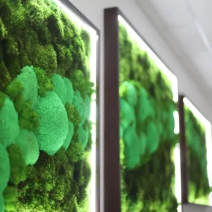 Set machových obrazov s osvetlením