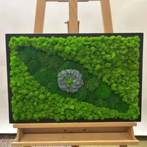 Zelené oko z machu: obrázky s machom