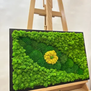 Zelené oko z machu: obrázky s machom