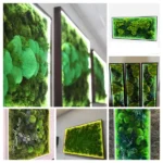 Machový obraz s osvetlením na mieru