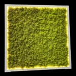 Machový obraz s osvetlením na mieru