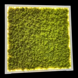 Machový obraz s osvetlením na mieru