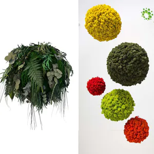 Category products - Dekoratívne gule z machu a rastlín