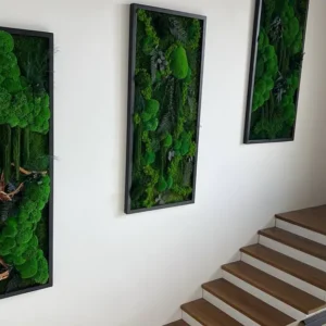 Set 3 machových obrazov: Guľatý mach – Džungľa kaskáda