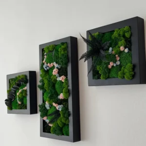 Sada obrazov: Kvetinové machové trio s rámom