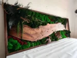 Machový obraz s drevom – Orechová lesná krajina