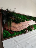 Machový obraz s drevom – Orechová lesná krajina