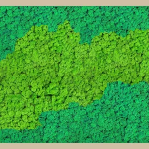 Machový obraz Mapa Slovenska