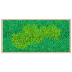 Machový obraz Mapa Slovenska