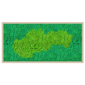 Machový obraz Mapa Slovenska