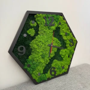 Seitenansicht einer sechseckigen Moosuhr mit schwarzem Holzrahmen und grünem Islandmoos.