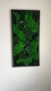 Machový obraz Ekomoss „Guľový mach Džungľová kaskáda“ – edícia s rastlinami