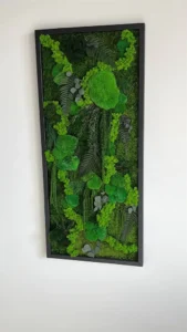 Machový obraz „Džungľová kaskáda“ – rastlinná edícia