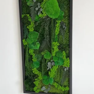 Machový obraz „Džungľová kaskáda“ – rastlinná edícia