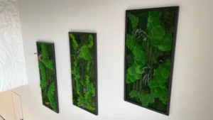 Machový obraz „Džungľová kaskáda“ – rastlinná edícia