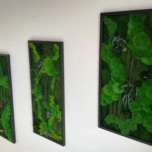 Machový obraz „Džungľová kaskáda“ – rastlinná edícia