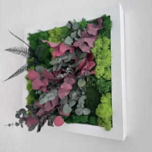 Quadratisches Moosbild mit grünem Islandmoos, roten Eukalyptusblättern und Farn in weißem Holzrahmen an weißer Wand.