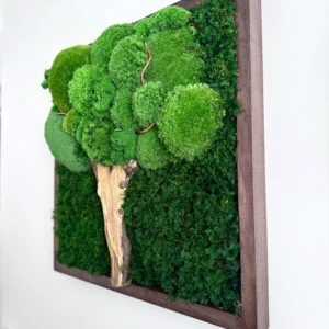Moosbaum aus Kugelmoos und Flachmoos mit hellem Holzstamm in braunem Holzrahmen an weißer Wand.
