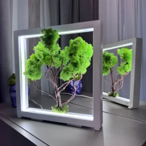 Grüner Moos-Bonsai aus Islandmoos in weißem Holzrahmen mit LED-Beleuchtung, auf Tisch mit Spiegelung.